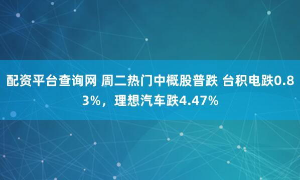配资平台查询网 周二热门中概股普跌 台积电跌0.83%，理想汽车跌4.47%