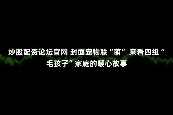 炒股配资论坛官网 封面宠物联“萌” 来看四组“毛孩子”家庭的暖心故事