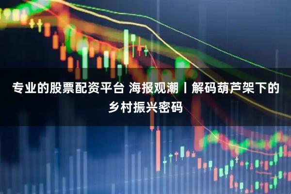 专业的股票配资平台 海报观潮丨解码葫芦架下的乡村振兴密码